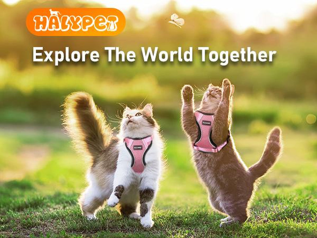 Halypet Escape Proof Cat Harness and Leash Set, with Security Lock and Reflective Strip Harness Cat Accessories Animal Outdoorfun Pet Leash