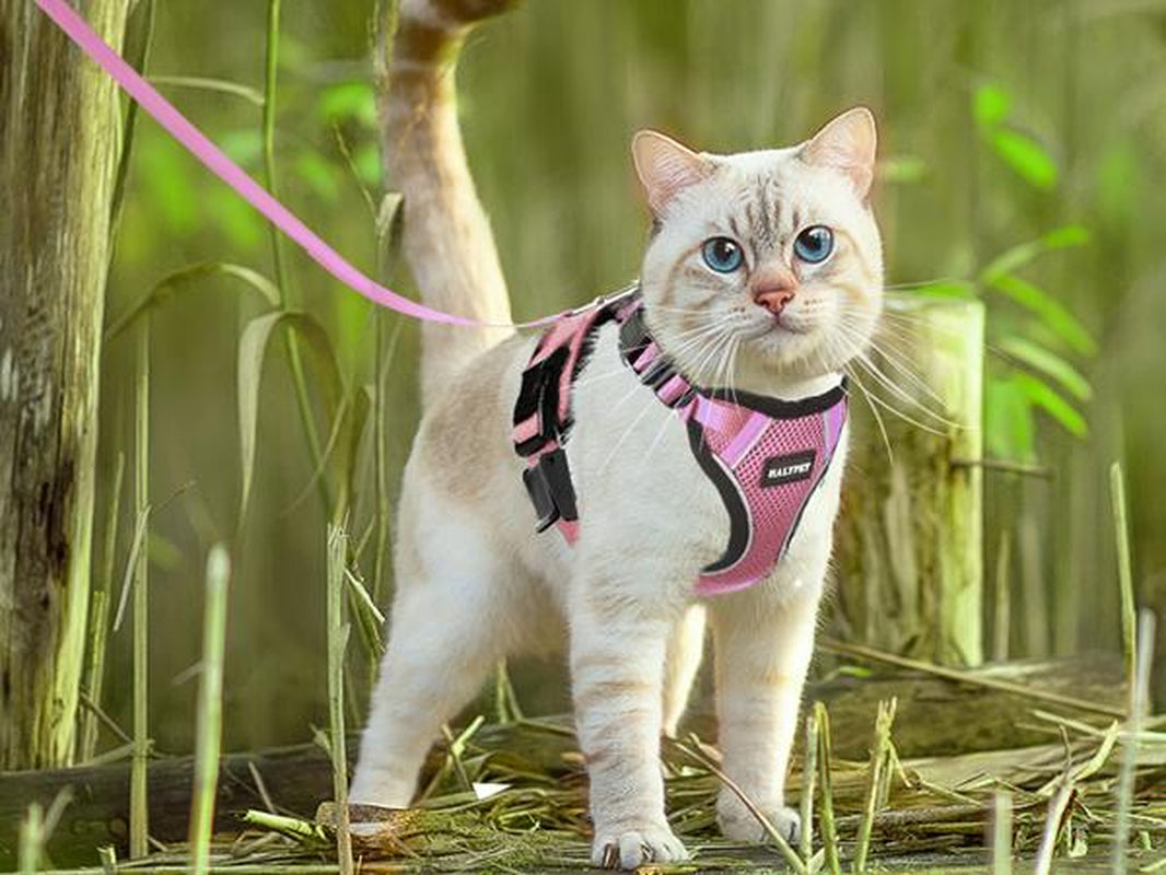 Halypet Escape Proof Cat Harness and Leash Set, with Security Lock and Reflective Strip Harness Cat Accessories Animal Outdoorfun Pet Leash