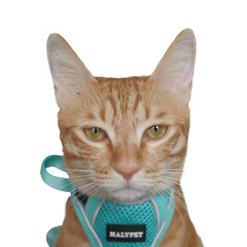 Halypet Escape Proof Cat Harness and Leash Set, with Security Lock and Reflective Strip Harness Cat Accessories Animal Outdoorfun Pet Leash