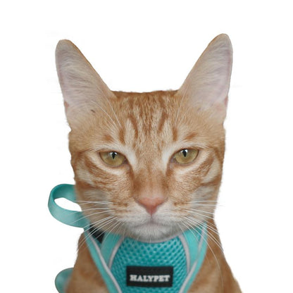 Halypet Escape Proof Cat Harness and Leash Set, with Security Lock and Reflective Strip Harness Cat Accessories Animal Outdoorfun Pet Leash